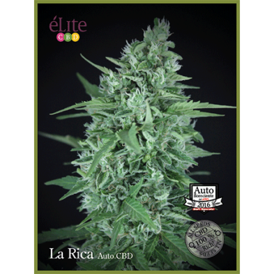 La Rica Auto CBD