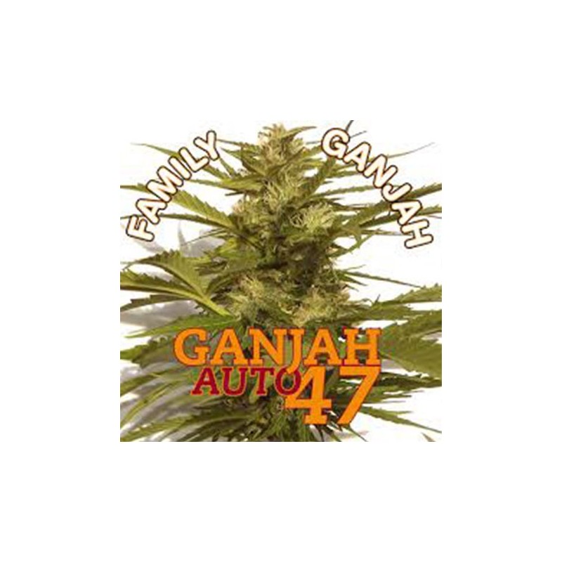 Ganjah Auto47