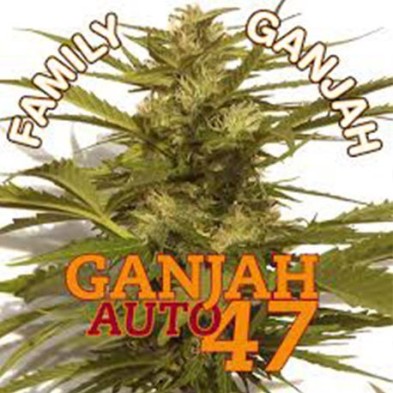 Ganjah Auto47