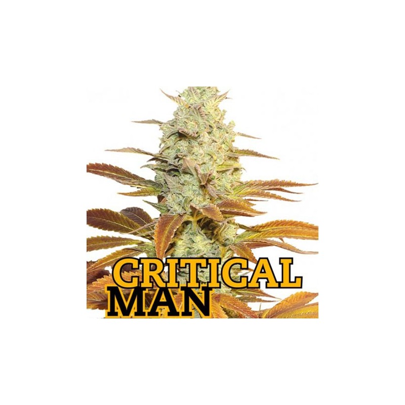 Critical Man