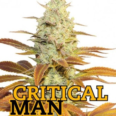 Critical Man