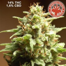 B3 Medical