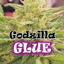 Godzilla Glue