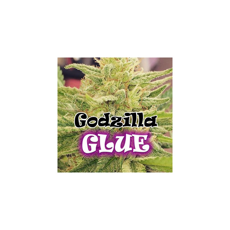 Godzilla Glue