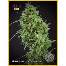 Amnesia Haze - Ultra CBD