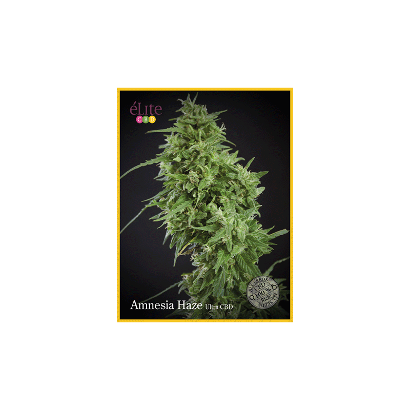 Amnesia Haze - Ultra CBD