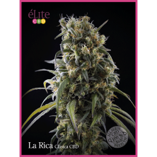 La Rica CBD