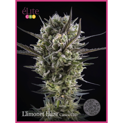 Llimonet Haze Clásica CBD