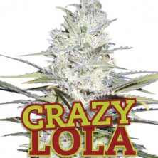 Crazy Lola