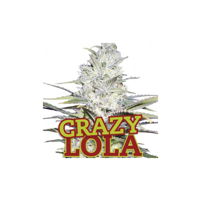 Crazy Lola