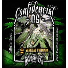 Confidencial OG