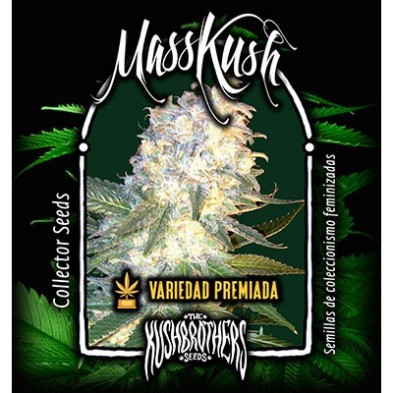 Masskush