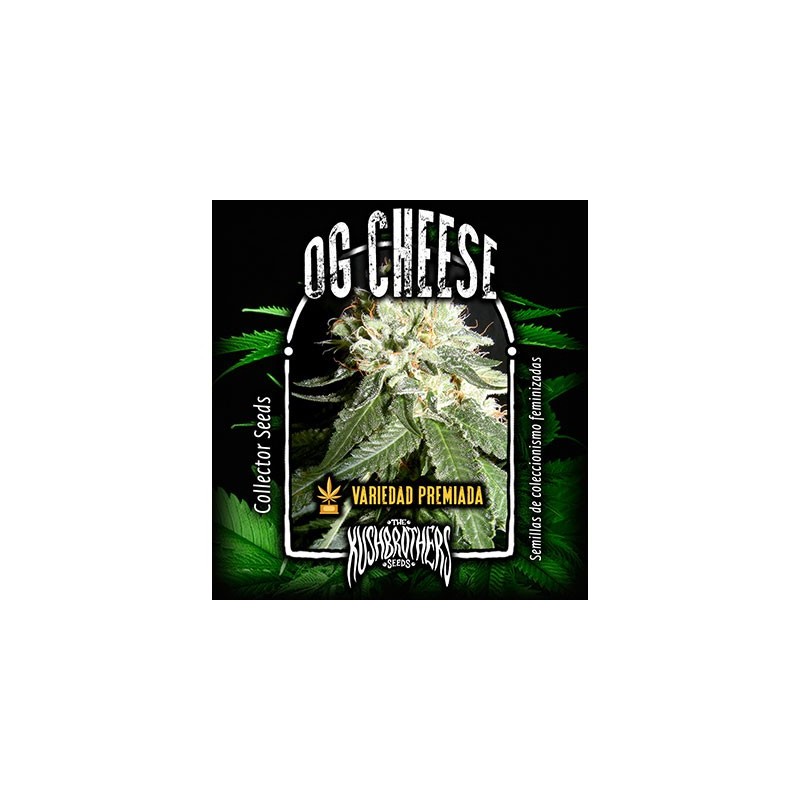 OG Cheese