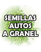 Semillas autos a granel