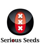 Serious Seeds auto