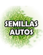 Semillas autoflorecientes