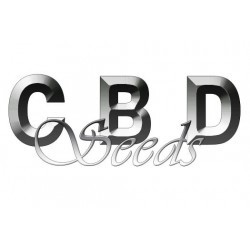 CBD Seeds