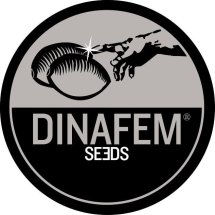 Dinafem