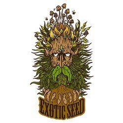 Exotic Seed