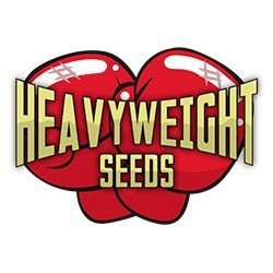 Heavyweigth Seeds