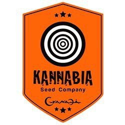 Kannabia Seeds