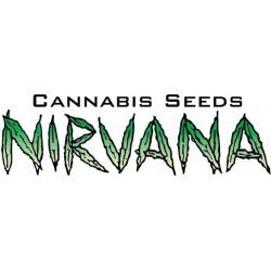 Nirvana