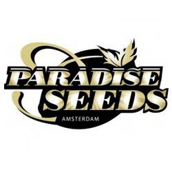 Paradise Seeds