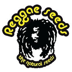 Reggae Seeds