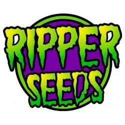 Ripper Seeds