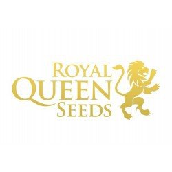 Royal Queen Seeds