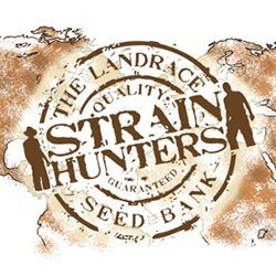 Strain Hunters