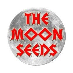 The Moon Seeds