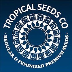 Tropical Seeds Co