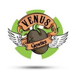 Venus Genetics