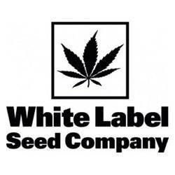 White Label Seeds Company