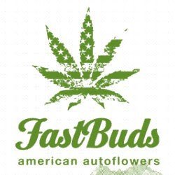 Fast Buds American Autoflowers