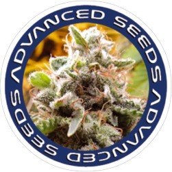 Advanced Seeds